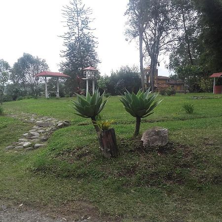 La Gaviota BnB Bed and Breakfast Filandia Exterior foto
