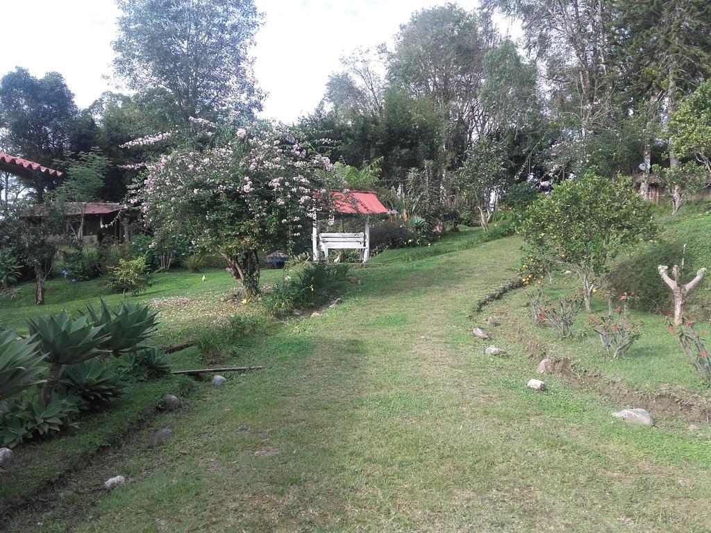 La Gaviota BnB Bed and Breakfast Filandia Exterior foto